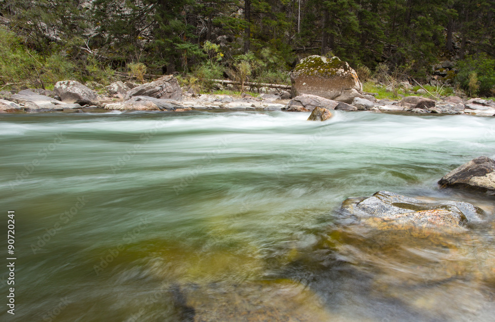 Obraz premium Flowing RIver in the woods