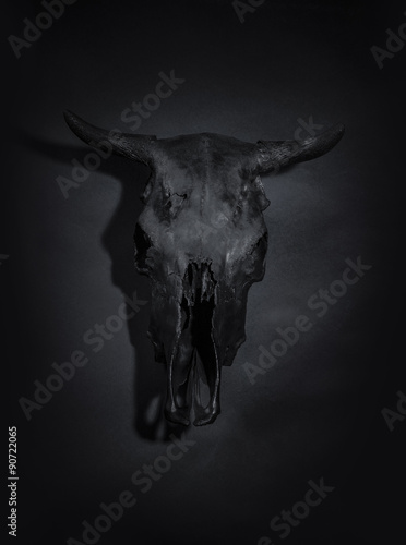 Black bulls skull