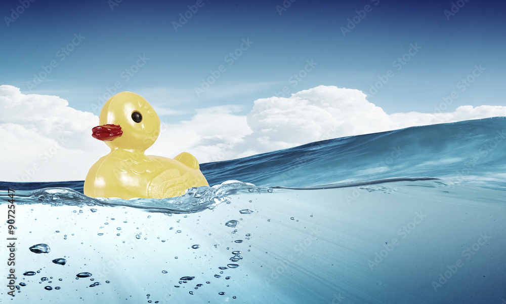 Duck toy Duck toy
