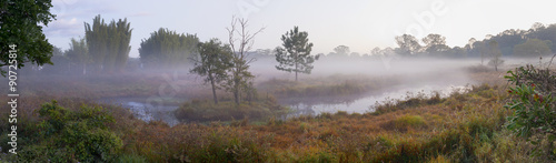 Early Morning Marshland Panorama Scene with Fog