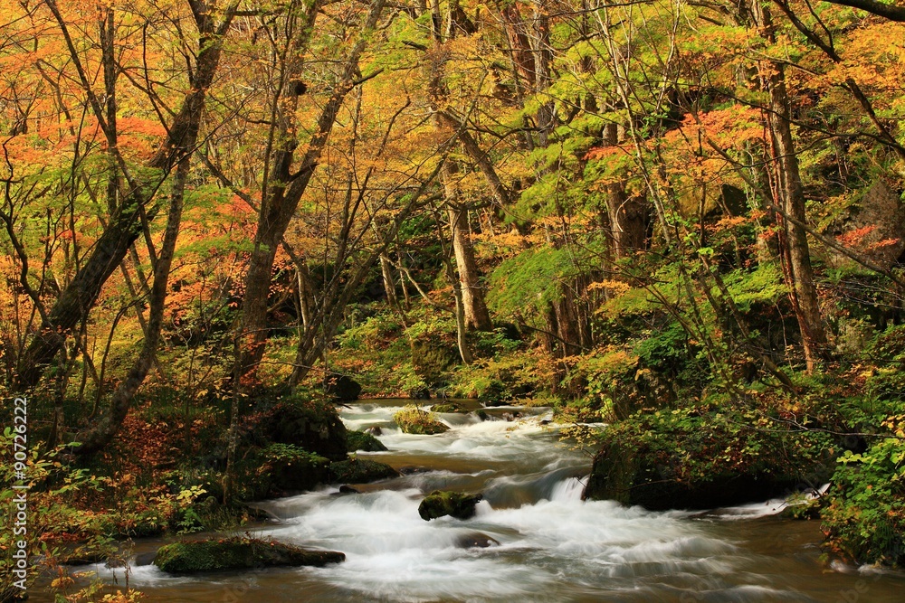  奥入瀬渓流の紅葉 
