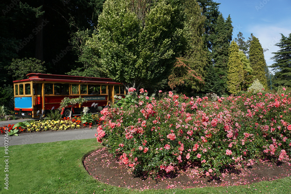Stanley Park, Vancouver, rose garden