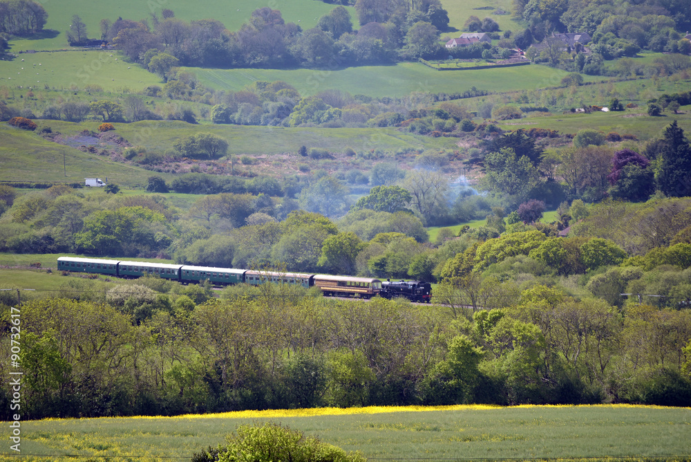 Fototapeta premium Steam train from Swanage to Corfe Castle, Dorset
