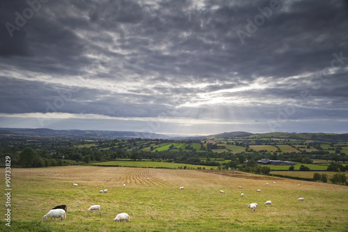 Light Rays Breaking Through Clouds over Hilly Grazing Field