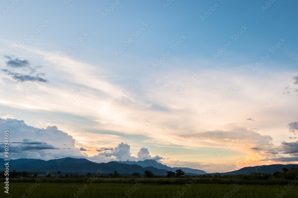 A peaceful rice field on sunset sky background