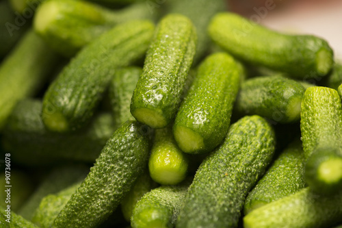 Cucumbers gherkins