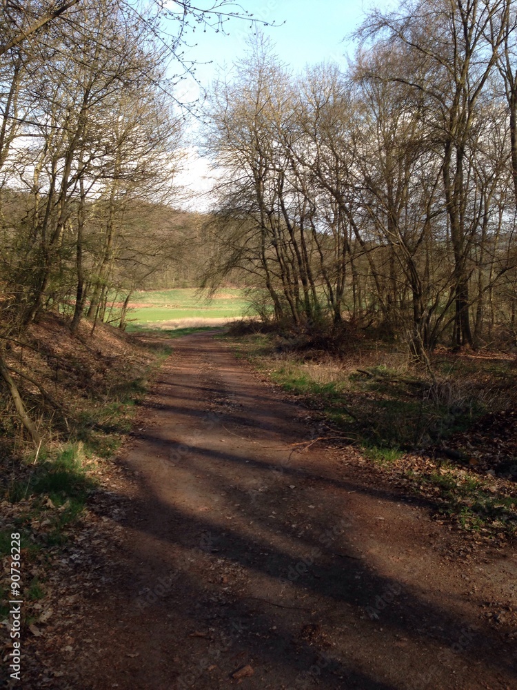 Naklejka premium Waldweg