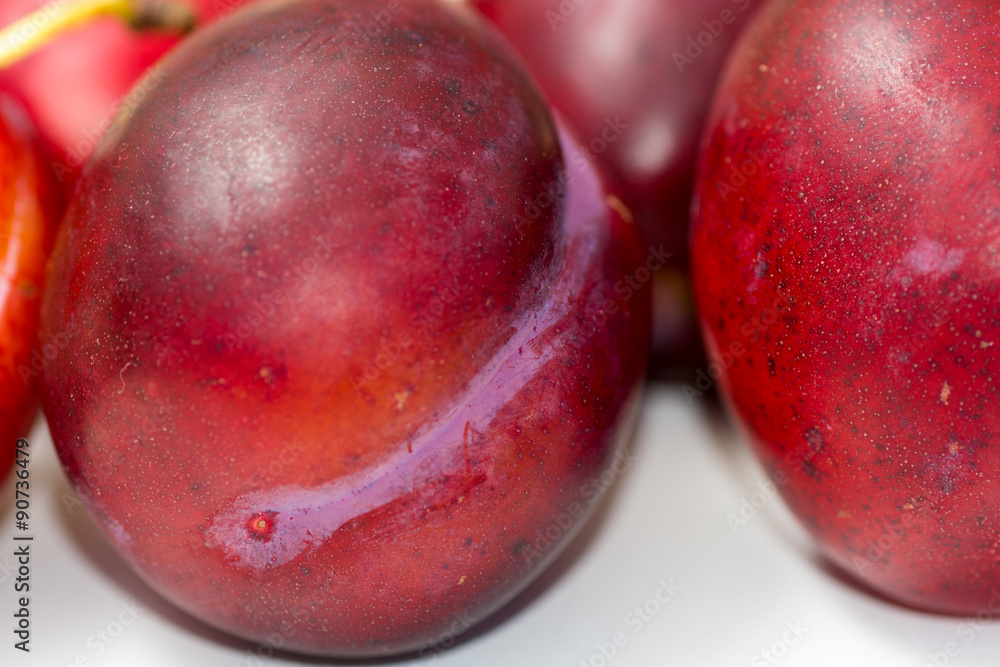 Obraz premium plum green