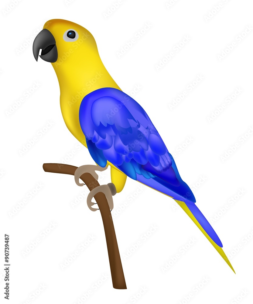 Beautiful colorful parrot isolated on white background- vector i Stock  Vector | Adobe Stock