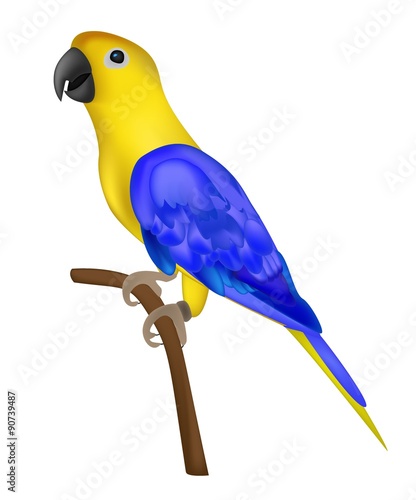 Beautiful colorful parrot isolated on white background- vector i