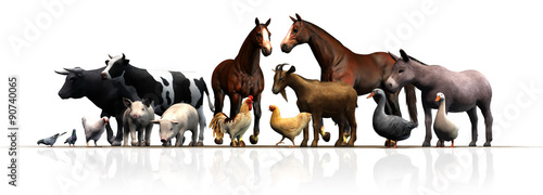 Farm Animals - separated on white background