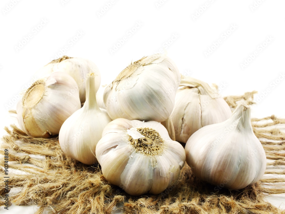 group of garlice herb and spice for cooking group of garlice herb and spice for cooking