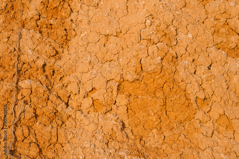 Fototapeta premium cracks on the clay background
