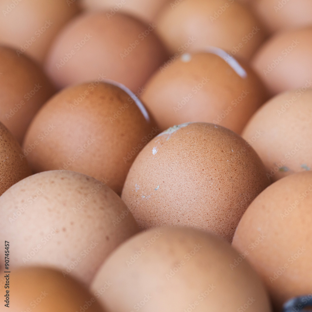 fresh organic eggs from chicken farm agriculture for sale fresh organic eggs from chicken farm agriculture for sale