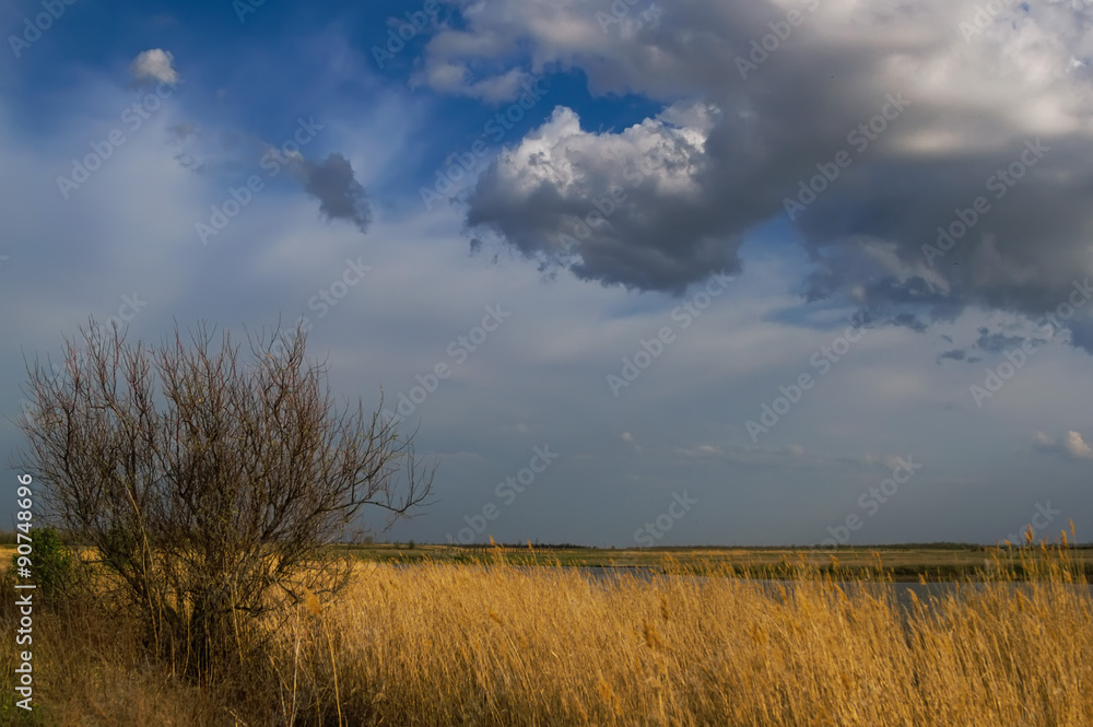 Autumn Landscape