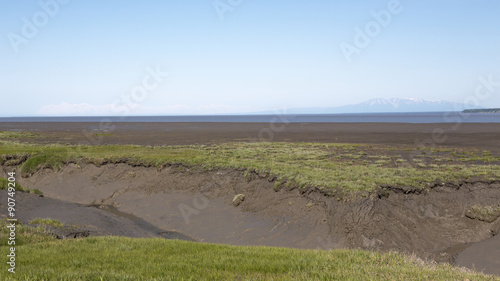 Mudflats and Mount Susitna