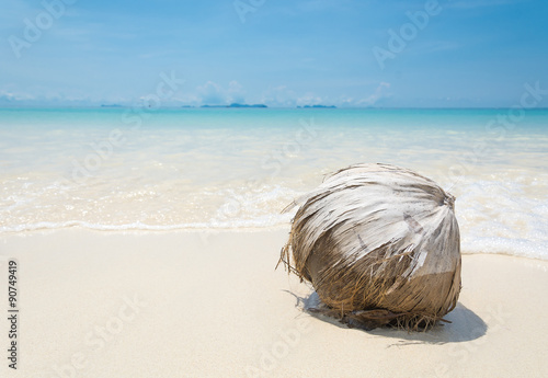 Wallpaper Mural coconut on beach with blue sky Torontodigital.ca