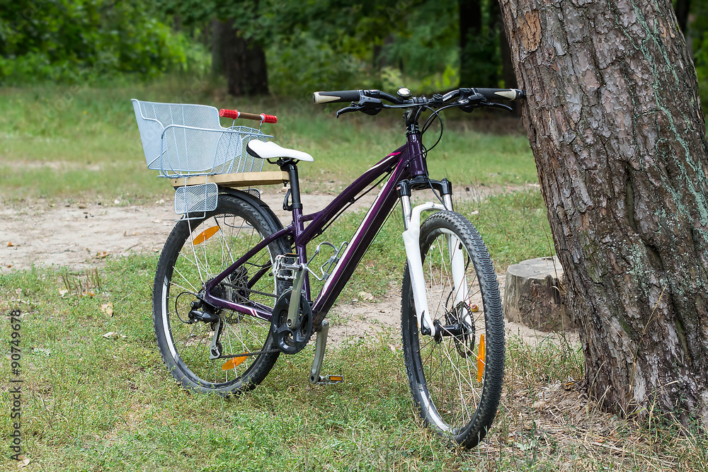Bicycle left unguarded near the tree in the forest