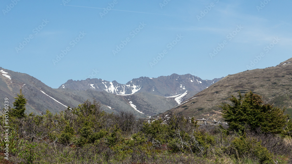 Obraz premium Alaskan Landscape