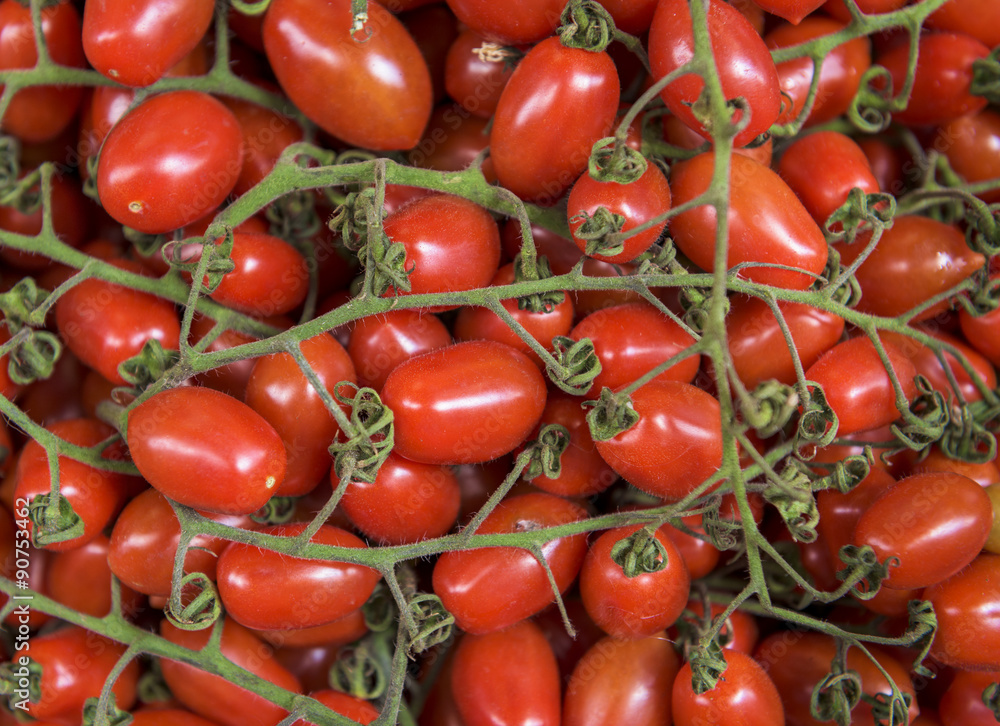 Organic Cherry Tomatoes on the Vine Organic Cherry Tomatoes on the Vine