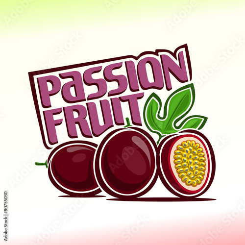 Vector illustration on the theme of passion fruit