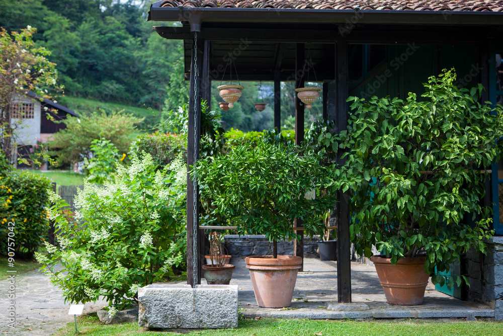 Green backyard with terrace and plants in Italy Green backyard with terrace and plants in Italy