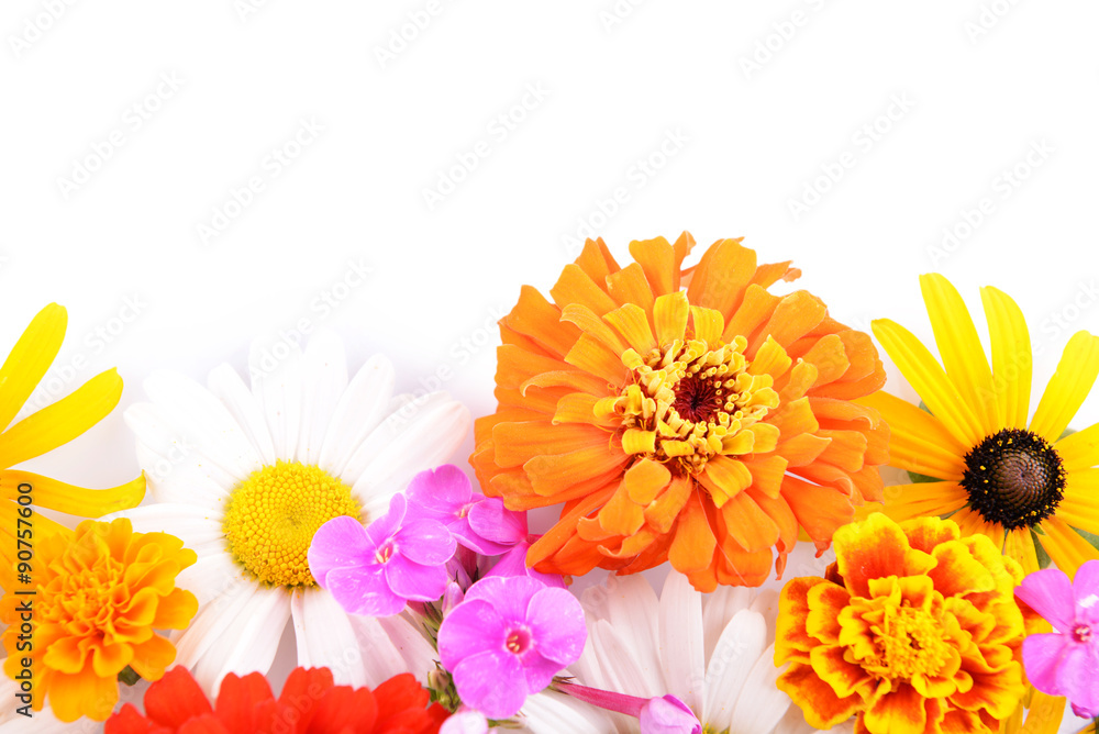 Fresh colorful flowers isolated on white Fresh colorful flowers isolated on white