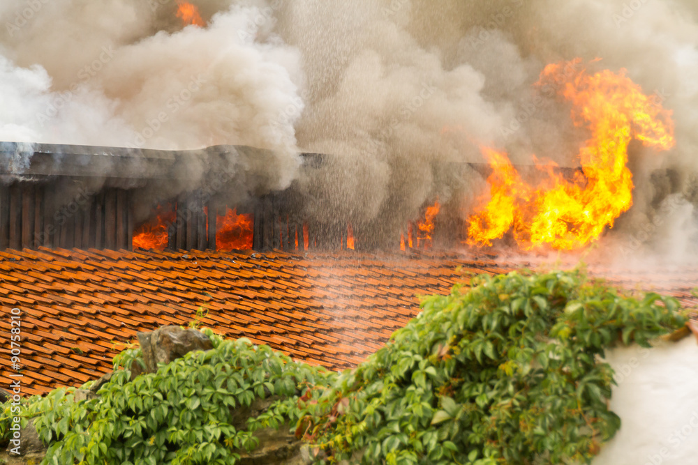 Fototapeta premium Brand Kaufhalle Guentersberge