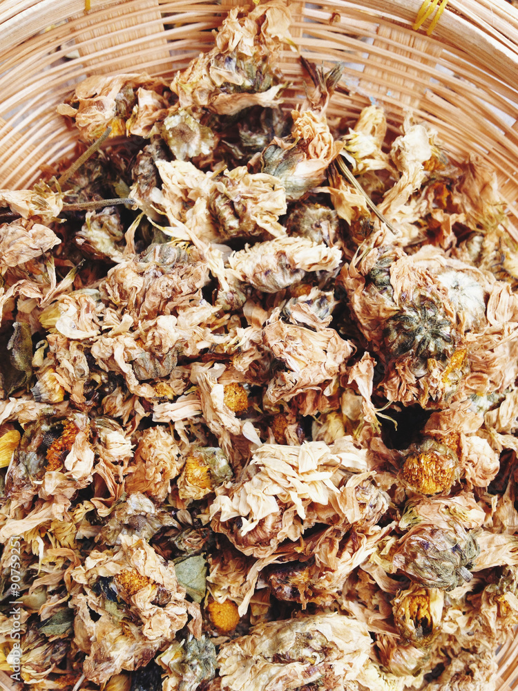 chrysanthemum flowers used for making herbal tea chrysanthemum flowers used for making herbal tea