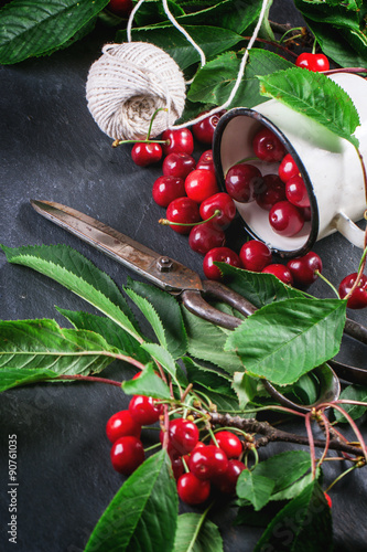 Bunch cherry tree with berries and leaves
