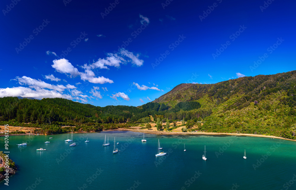 Fototapeta premium Whatamango Bay. Vicinity of Picton town, New Zealand.