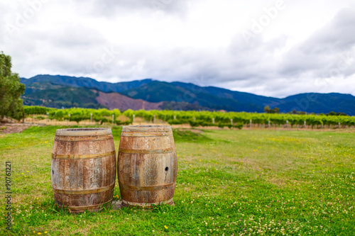 Old wine barrels on the vineyard