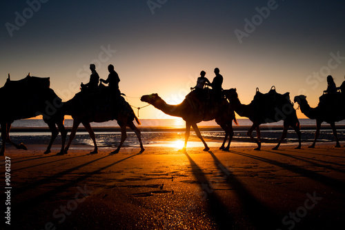 Camels in Cable Beach