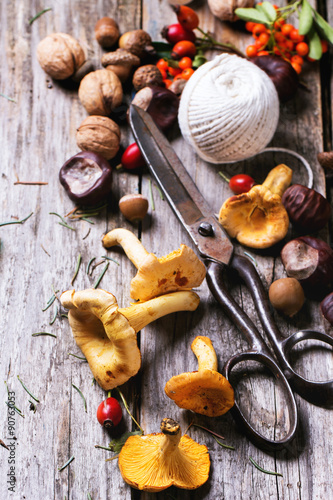 Chanterelle mushrooms with old scissors