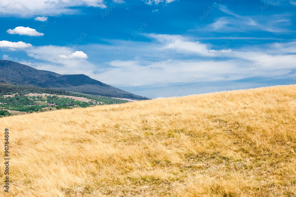 Obraz premium Mountains. Chynadiyovo. Zakarpattia. Ukraine.