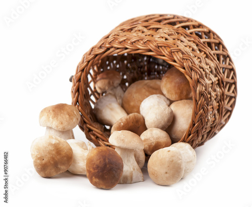 Mushrooms in a wicker basket