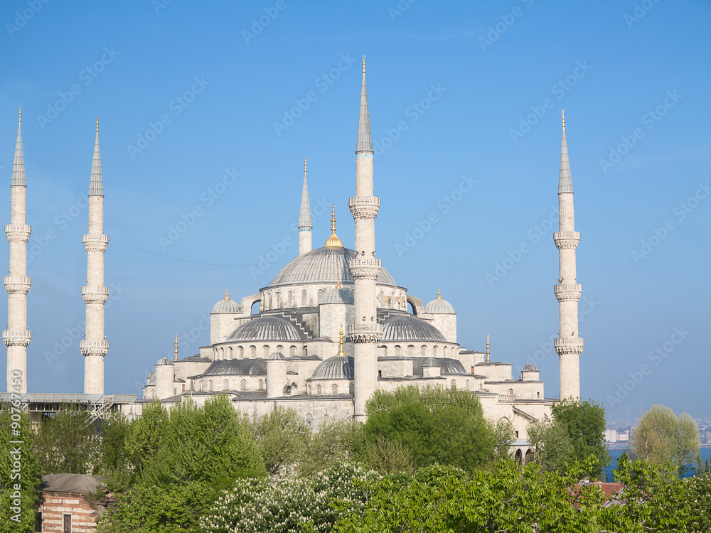 Obraz premium Istanbul, Turkey