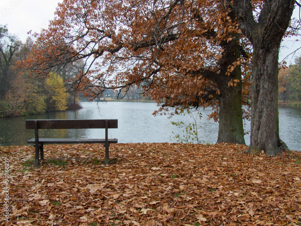 Lonely bench facing the pond, before which stand two trees. Autumn scenery park in Swierklancu in Poland.