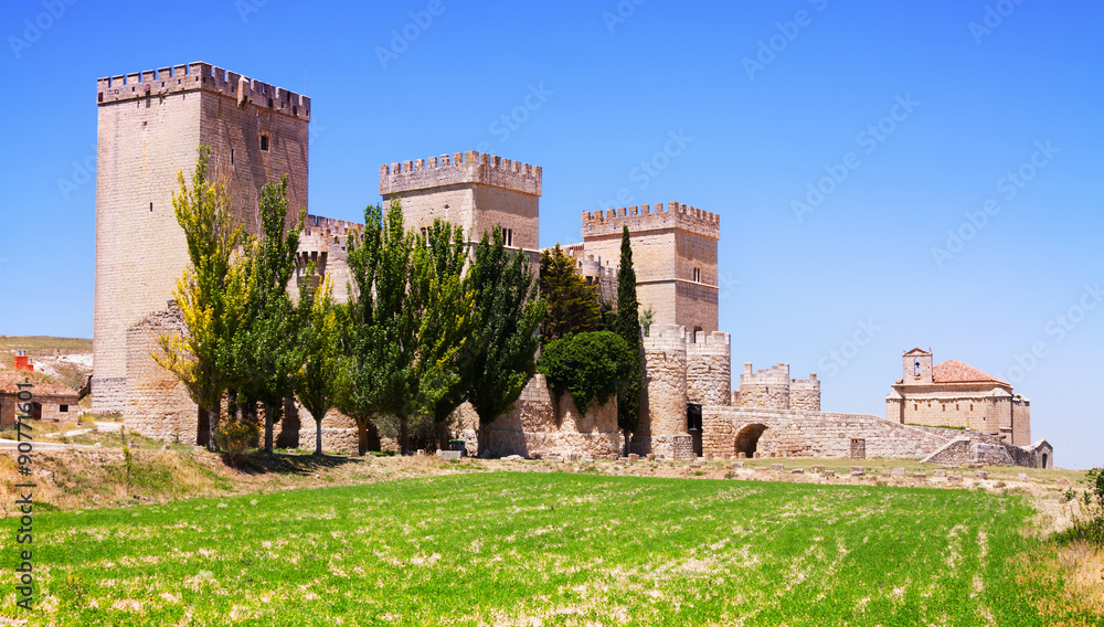 General view of castle of  Ampudia