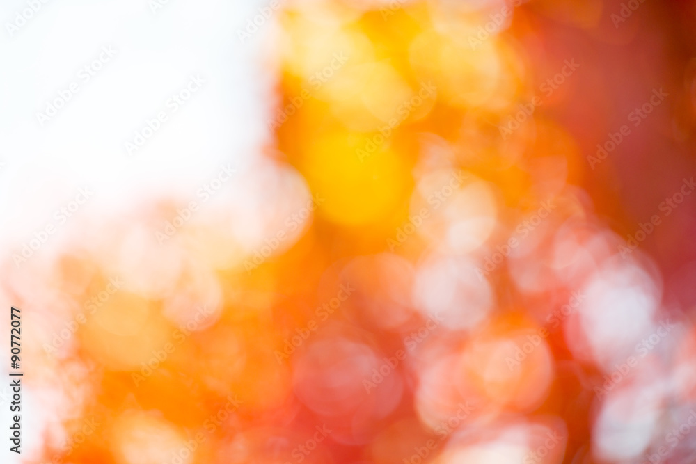 Autumn Leaf. Concept for Autumn Season Autumn Leaf. Concept for Autumn Season