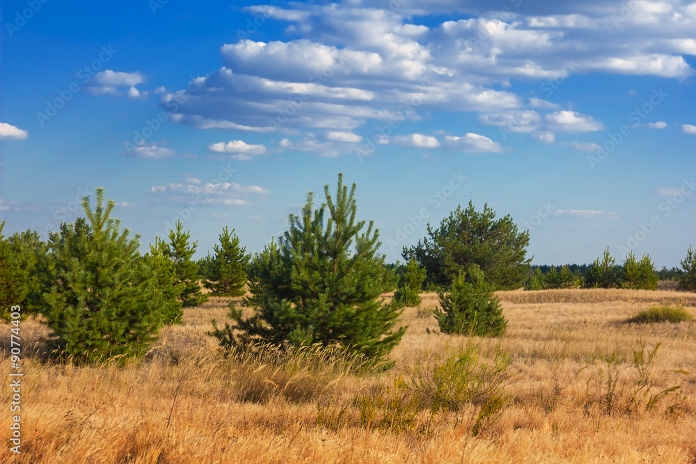 Obraz premium hot sandy desert scene