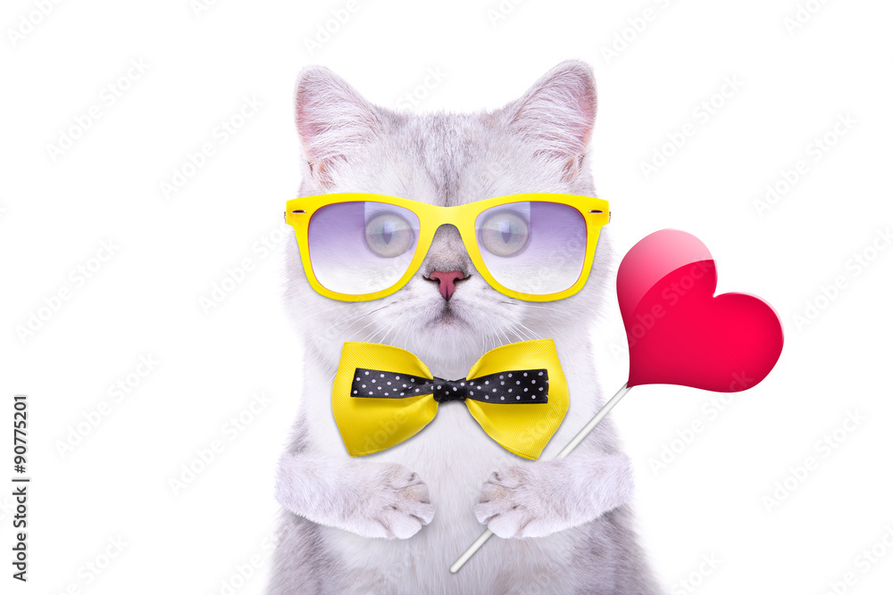 Smart handsome cat with icon heart. Funny animals. Trendy cat dressed in beautiful clothes