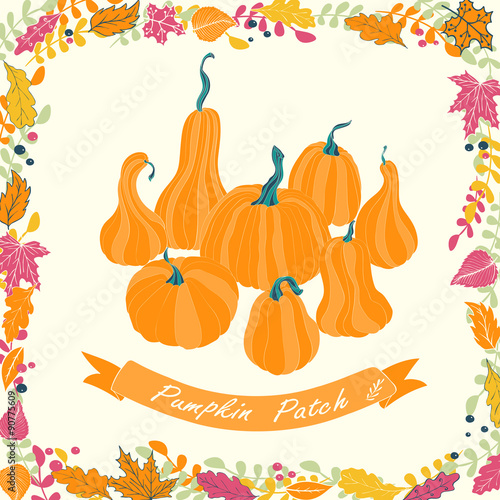 Pumpkin patch card design. 