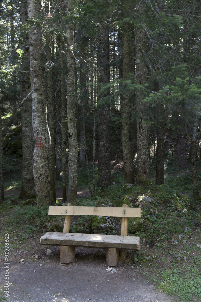 wooden bench in the forest wooden bench in the forest