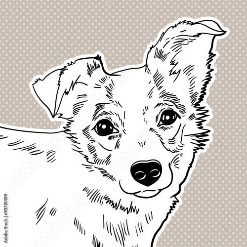 Vector illustration of the dog. black and white