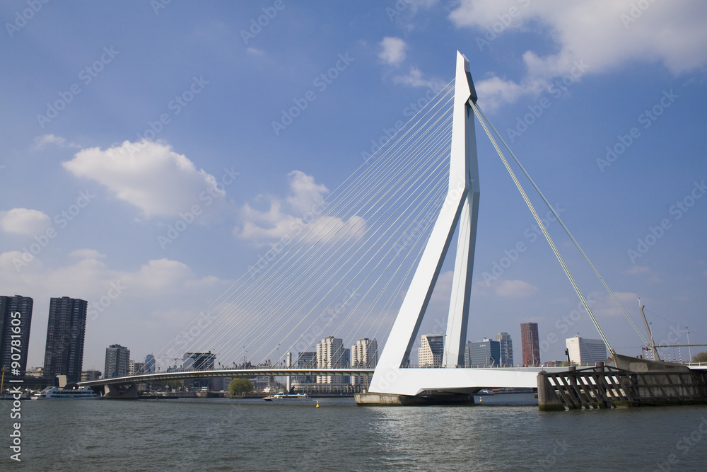 Erasmus Bridge in Rotterdam