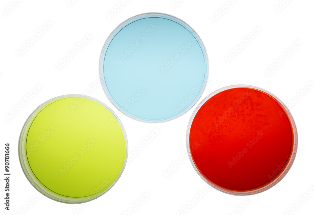 Petri Dishes with Colorful Agar