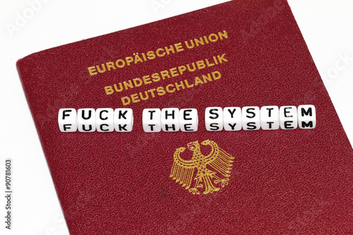 Fuck the System photo