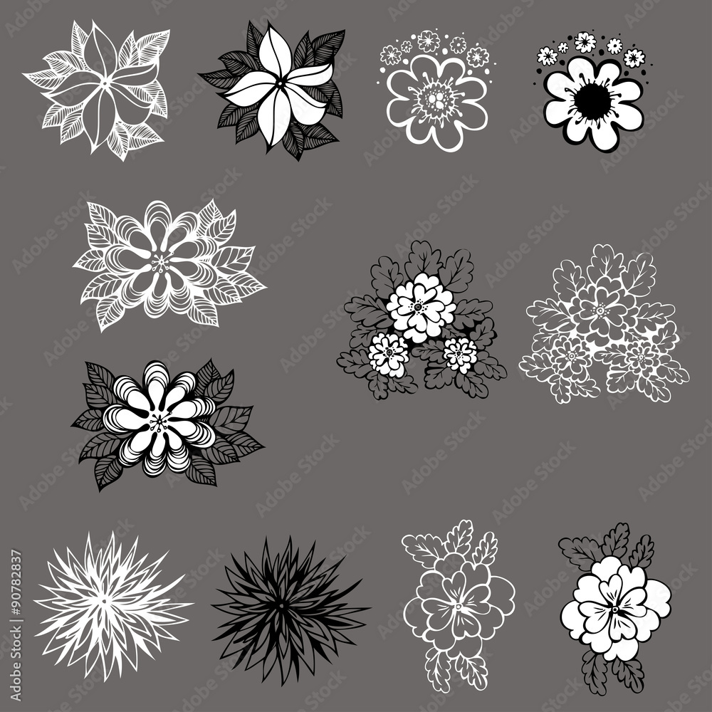 set of vector design of flowers set of vector design of flowers