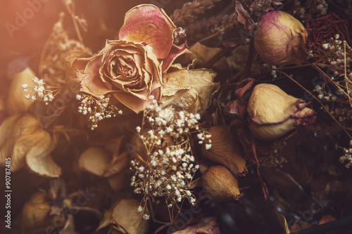 Different dried flowers captured through the glass